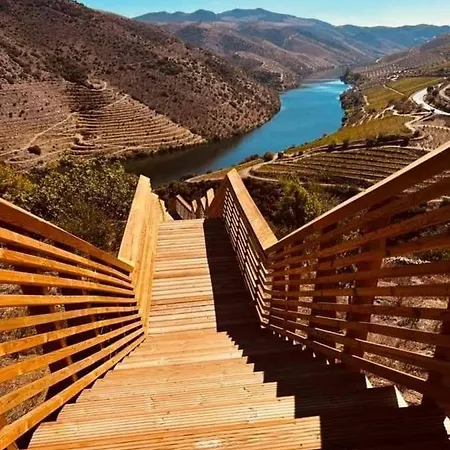 Casa Do Douro 別荘 *