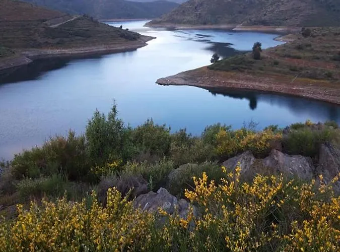 Casa Do Douro Holiday home Torre De Moncorvo